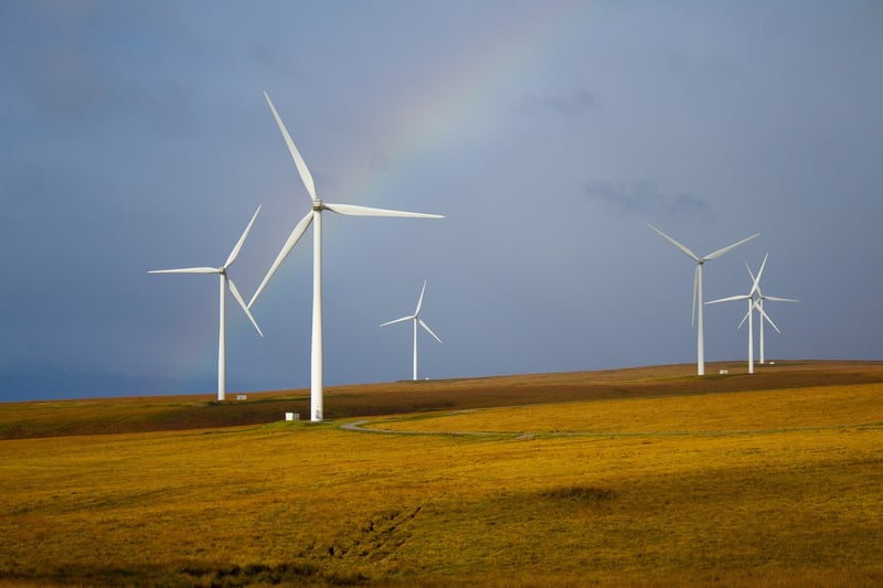 Sustainable living advice